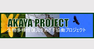 Akaya Project