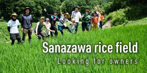Sanazawa rice field Looking for owners