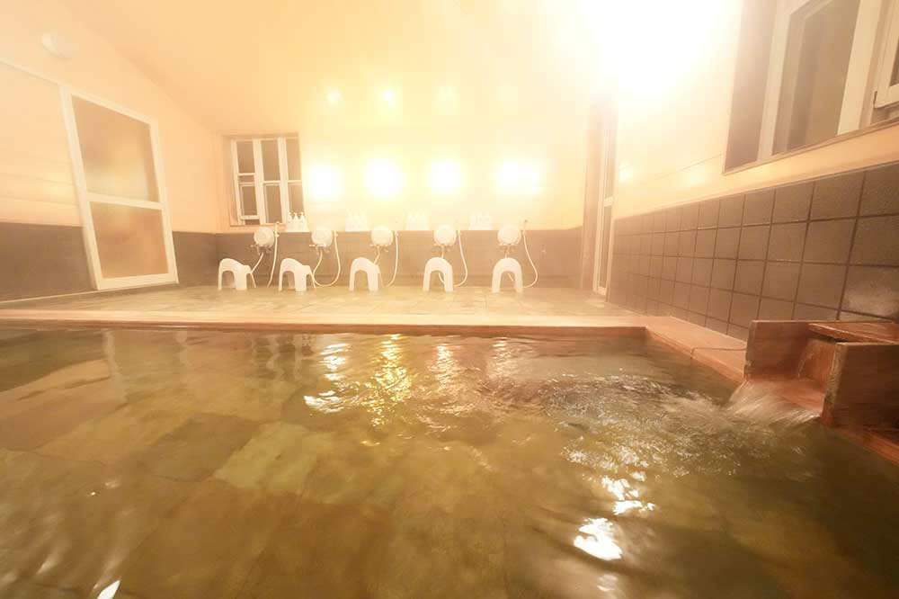 Sanazawa Terrace Indoor Bath
